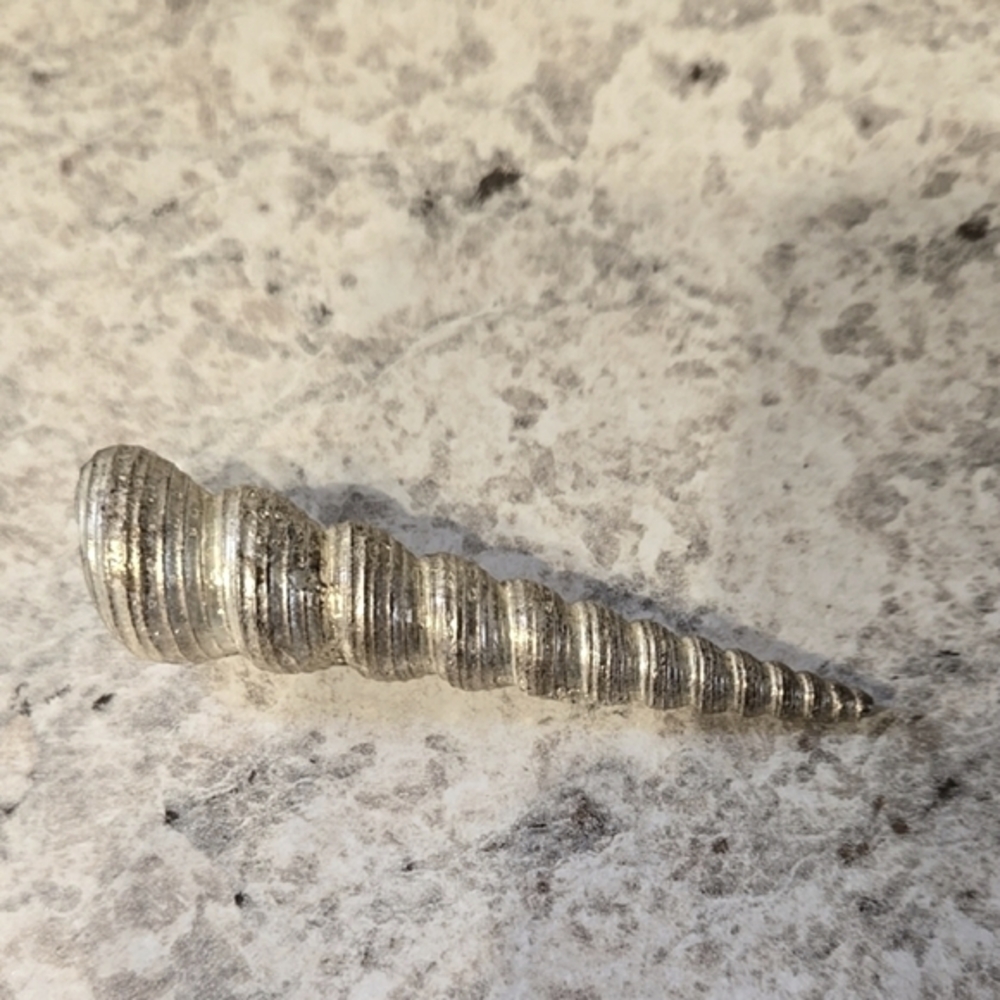 Silver Plated Turritella Communis Spiral Sea Shell Ornament